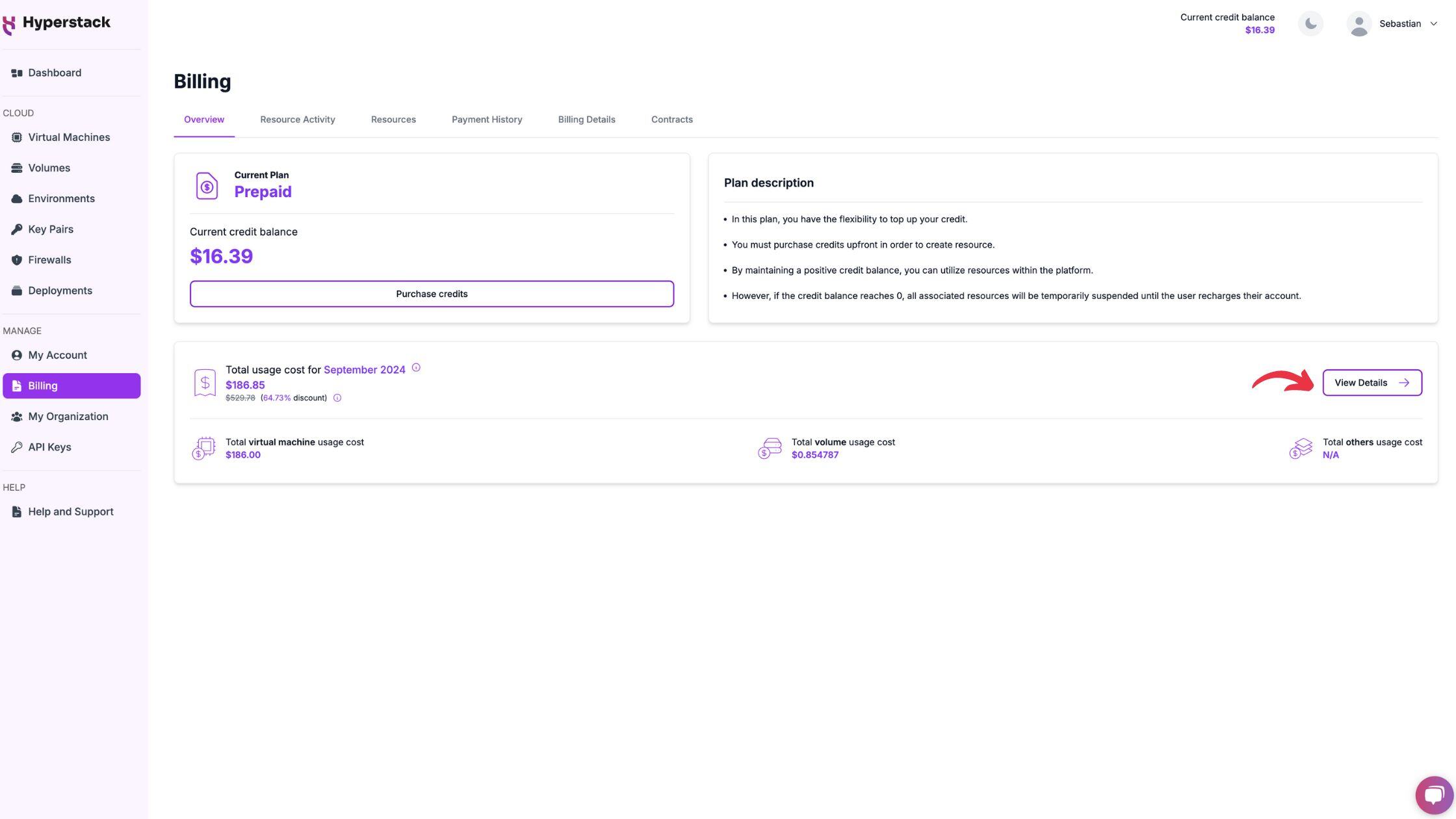 Usage Cost Summary